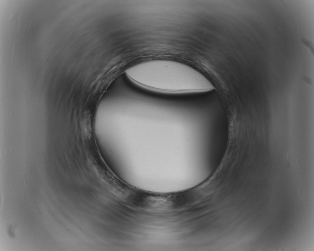 X0000101690170200807101216