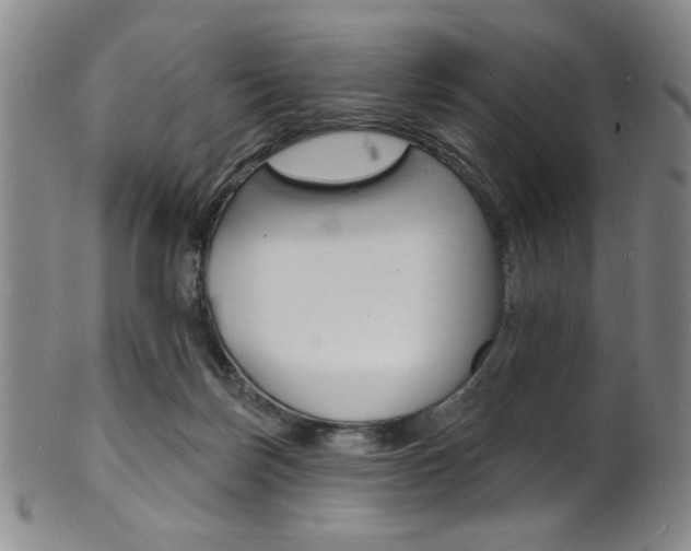 X0000101690171200807101217
