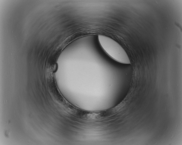 X0000101690172200807101217