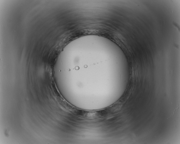 X0000101690173200807101217