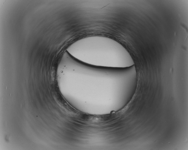 X0000101690174200807101217