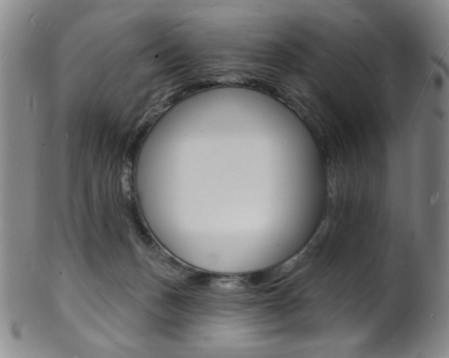 X0000101690175200807101217