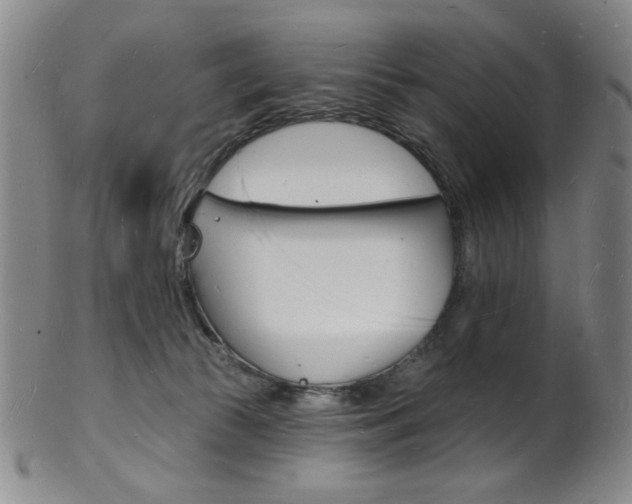 X0000101690177200807101217