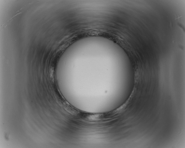 X0000101690178200807101217