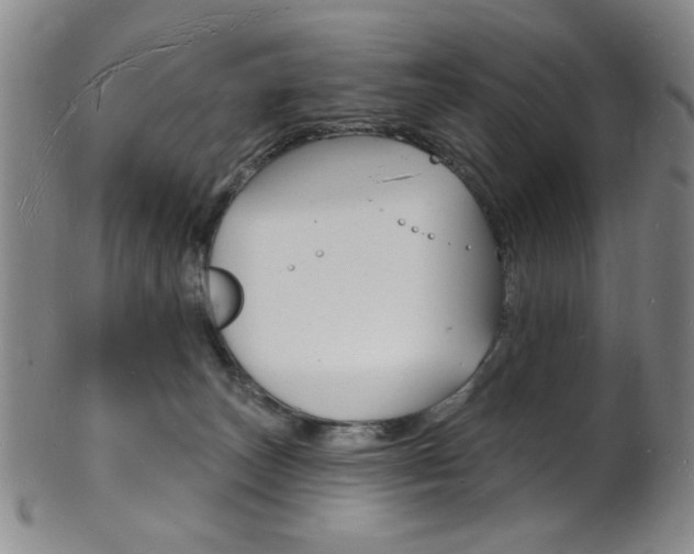 X0000101690179200807101217