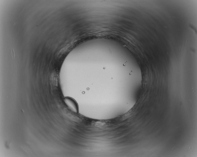 X0000101690180200807101217