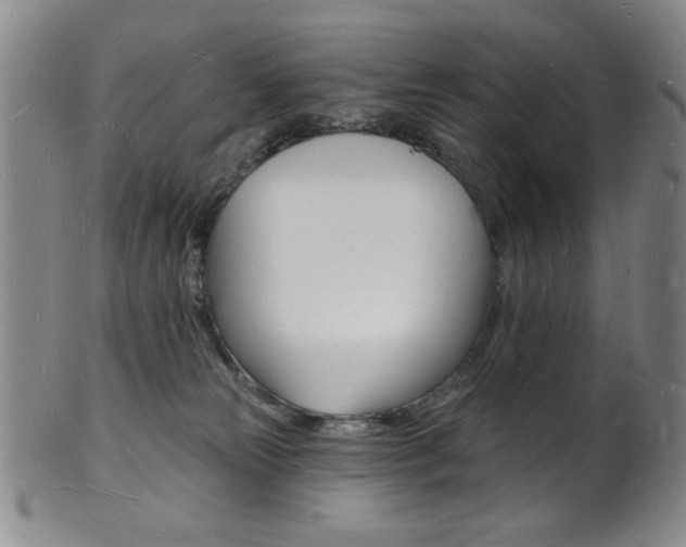 X0000101690181200807101217