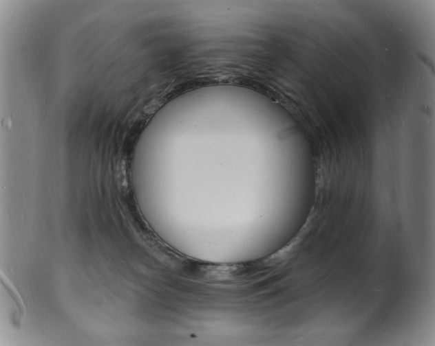 X0000101690182200807101217