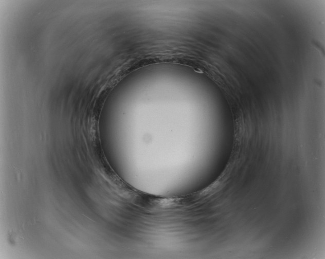 X0000101690184200807101217