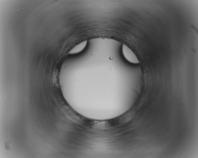 X0000101690185200807101217