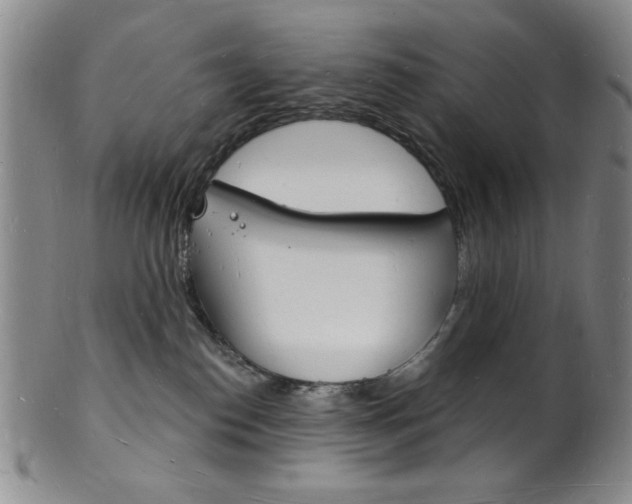 X0000101690186200807101217