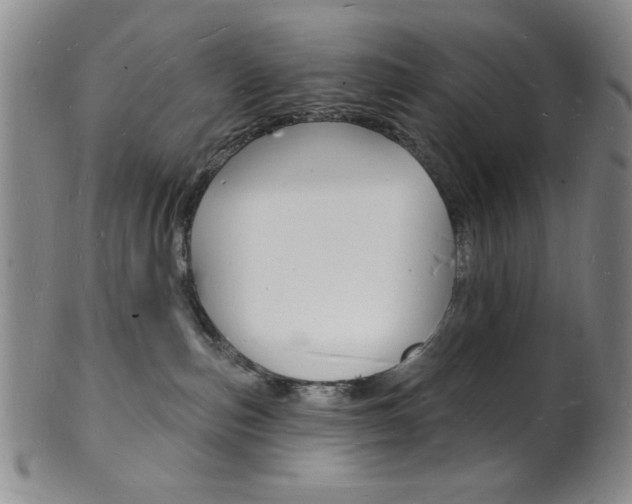 X0000101690187200807101217