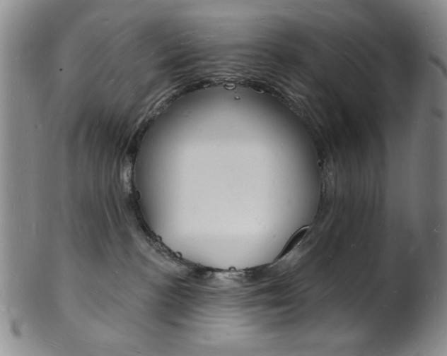 X0000101690188200807101217