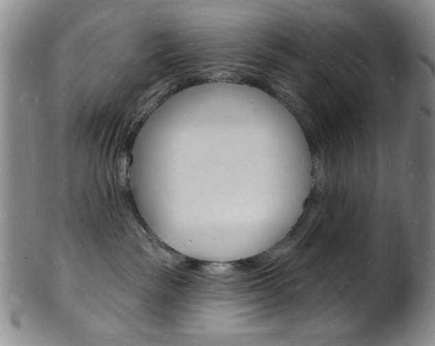 X0000101690189200807101217
