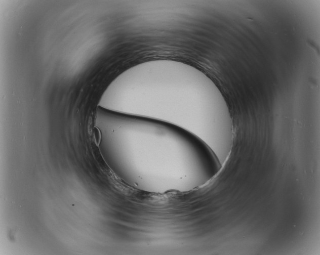 X0000101690190200807101217