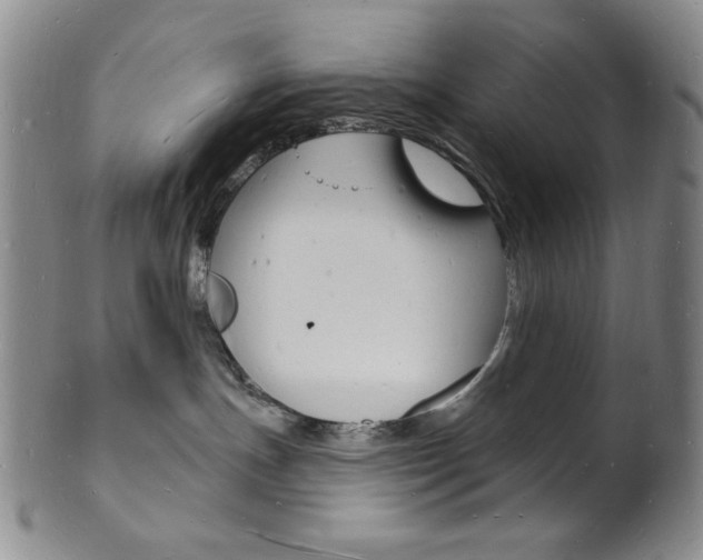X0000101690191200807101217