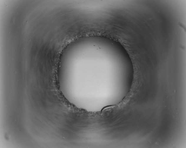 X0000101690192200807101217