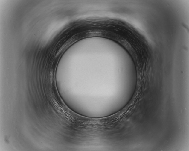 X0000101690194200807101216
