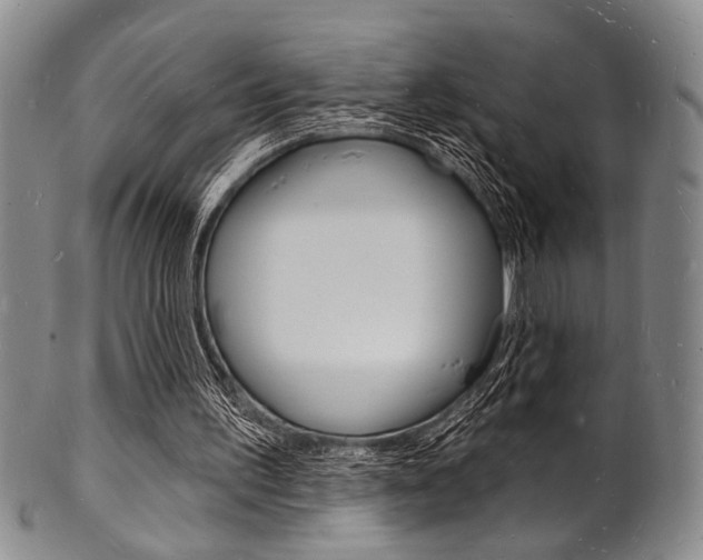 X0000101690195200807101216