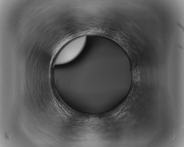 X0000101690196200807101216