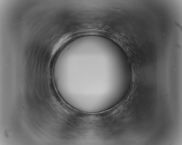 X0000101690198200807101216