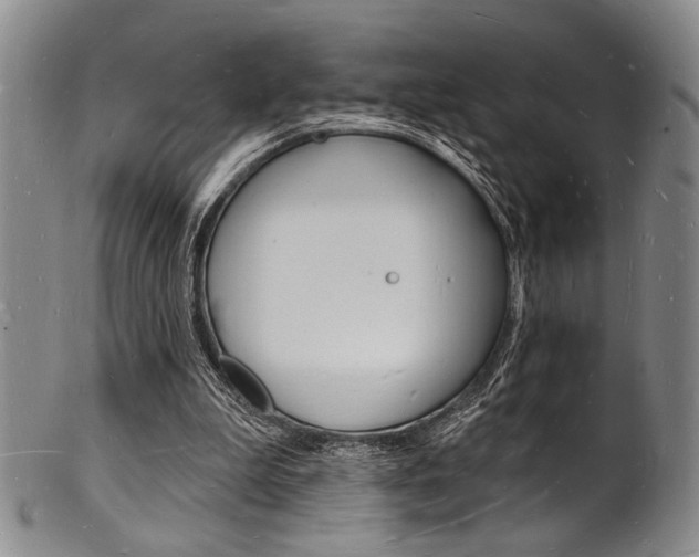 X0000101690199200807101216