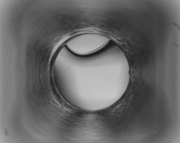 X0000101690200200807101216