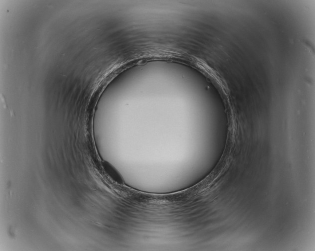 X0000101690203200807101216