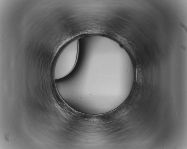 X0000101690204200807101216