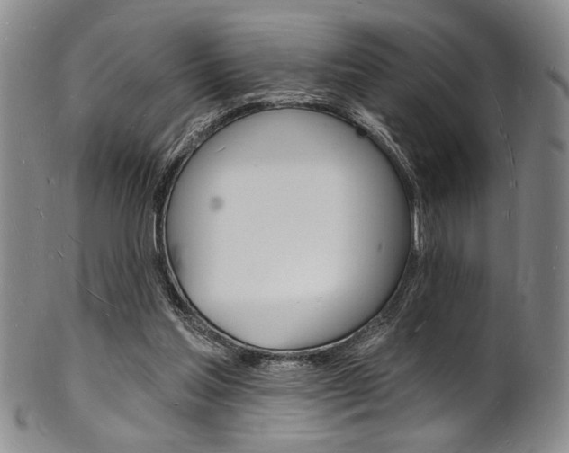 X0000101690205200807101216