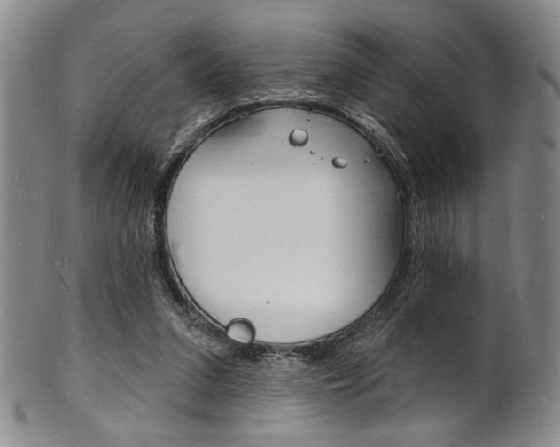 X0000101690207200807101216