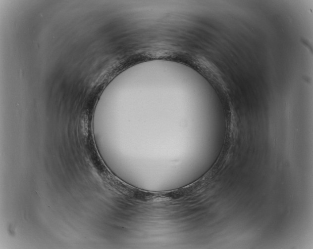 X0000101690210200807101216