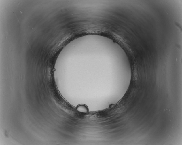X0000101690211200807101216