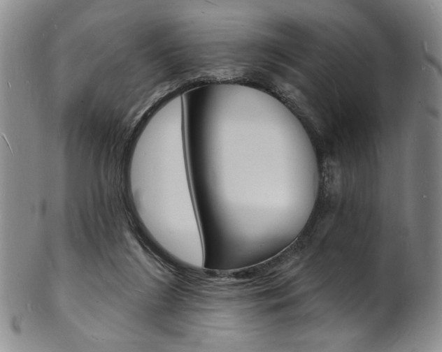 X0000101690212200807101216
