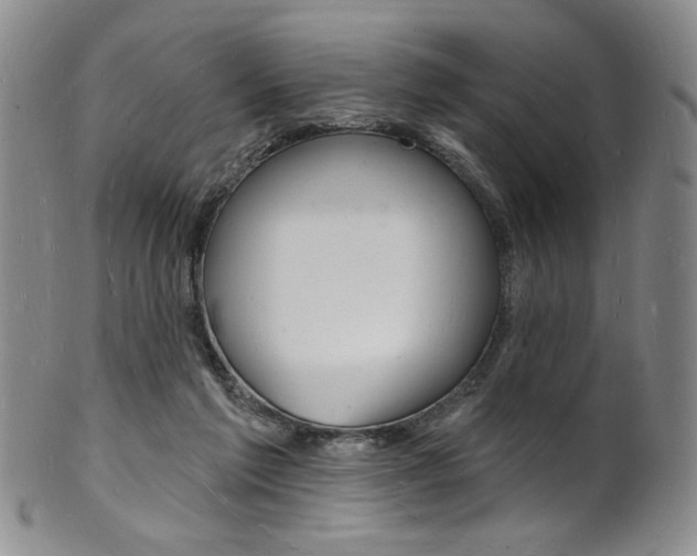 X0000101690213200807101216