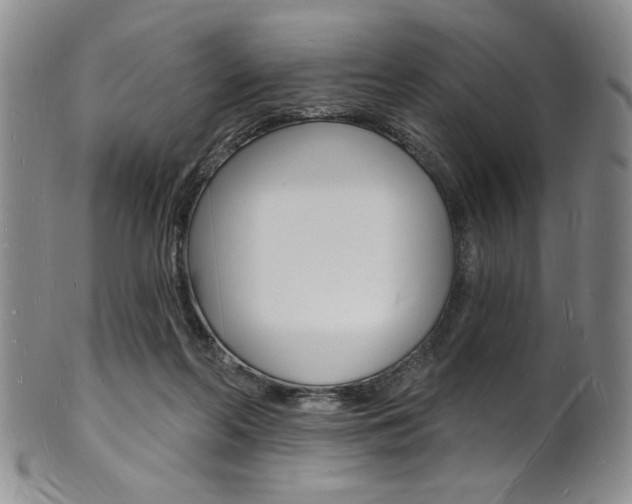 X0000101690214200807101216