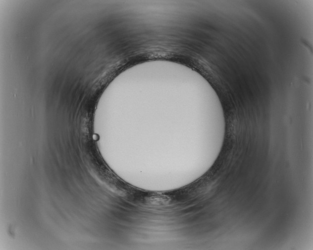 X0000101690215200807101216