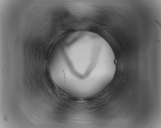X0000101690216200807101216