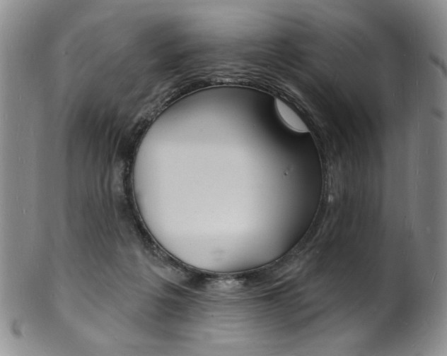 X0000101690217200807101216