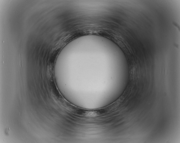 X0000101690218200807101216