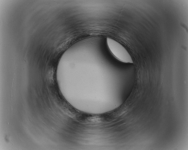 X0000101690219200807101216