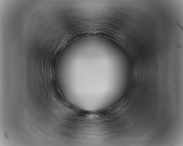 X0000101690220200807101216