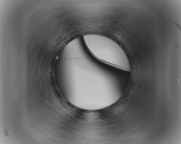 X0000101690221200807101216