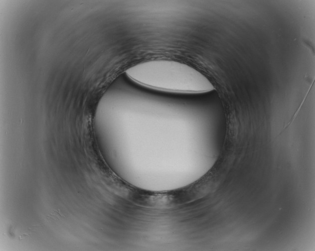 X0000101690225200807101216