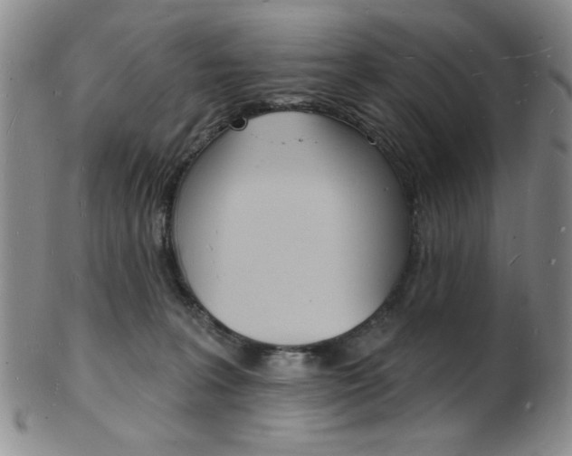 X0000101690227200807101216