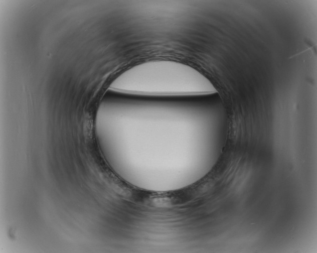 X0000101690228200807101216
