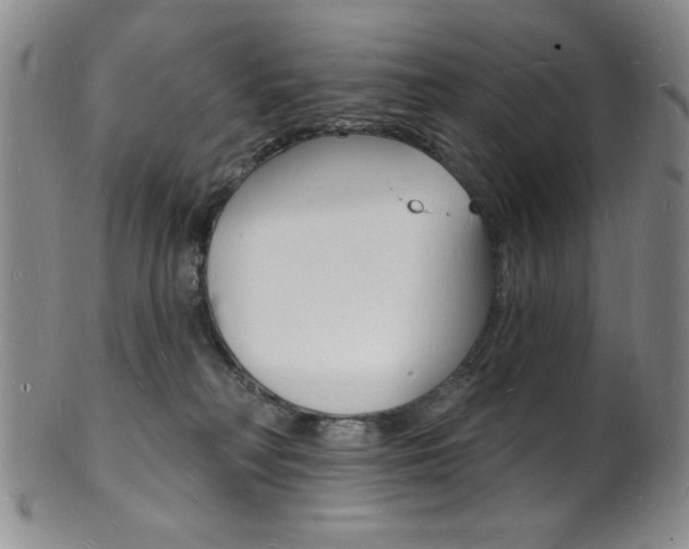 X0000101690230200807101216
