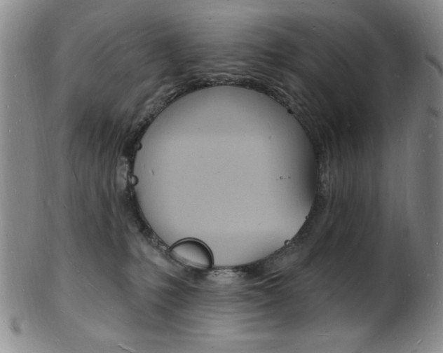 X0000101690231200807101216