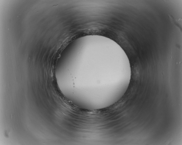 X0000101690232200807101216