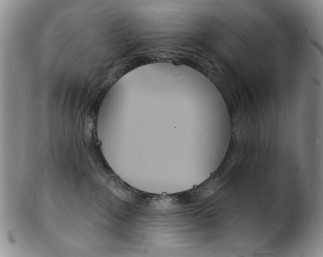 X0000101690235200807101215